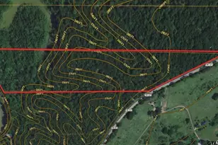 15308 W Fm 321, Tennessee Colony, TX 75861 - Photo 3