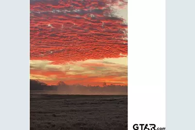 22245 Mallards Cove Ct, Bullard, TX 75757 - Photo 25