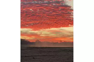 22245 Mallards Cove Ct, Bullard, TX 75757 - Photo 25