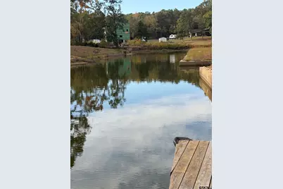 22245 Mallards Cove Ct, Bullard, TX 75757 - Photo 29