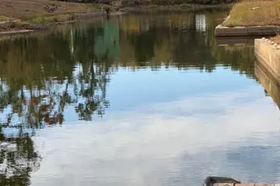 22245 Mallards Cove Ct, Bullard, TX 75757 - Photo 29