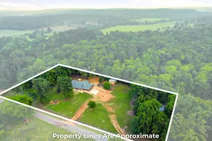 390 Co Rd 2978, Hughes Springs, TX 75656 - Photo 3
