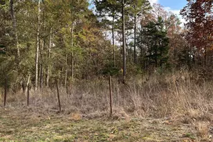 390 Co Rd 2978, Hughes Springs, TX 75656 - Photo 29