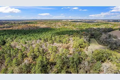 Tbd Cr 3170, Winnsboro, TX 75494 - Photo 7