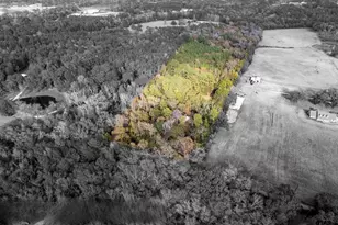 590 An County Rd 169, Elkhart, TX 75839 - Photo 23