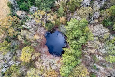 590 An County Road 169, Elkhart, TX 75839 - Photo 3