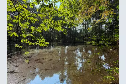 590 An County Road 169, Elkhart, TX 75839 - Photo 21