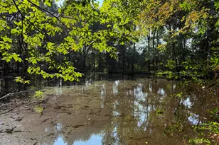 590 An County Rd 169, Elkhart, TX 75839 - Photo 21