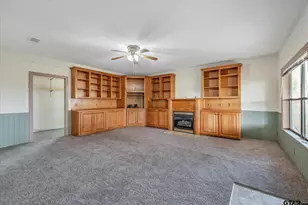 11619 Co Rd 4331, LaRue, TX 75770 - Photo 9