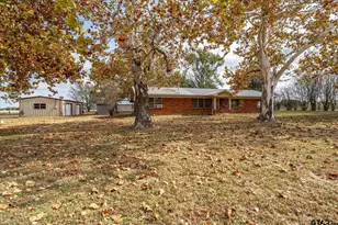 11619 Co Rd 4331, LaRue, TX 75770 - Photo 21