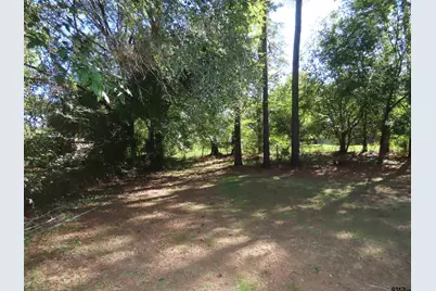 15321 Cedar Bay Dr., Bullard, TX 75757 - Photo 25