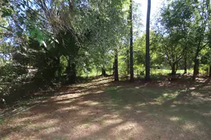 15321 Cedar Bay Dr, Bullard, TX 75757 - Photo 25