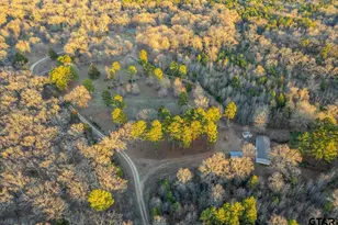20304 N Hwy 155, Winona, TX 75792 - Photo 1