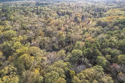 20304 N Hwy 155, Winona, TX 75792 - Photo 13