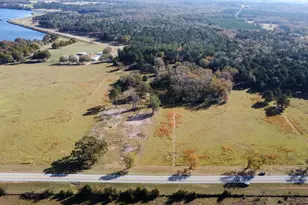 Tbd 0- Lt 8 Fm 1892, Frankston, TX 75763 - Photo 9