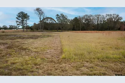 Lt 7 O- Tbd Fm 1892, Frankston, TX 75763 - Photo 3
