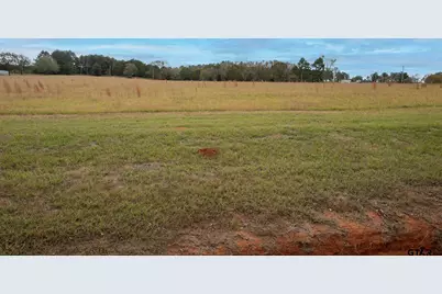 Lt 4 Tbd Fm 1892, Frankston, TX 75763 - Photo 5