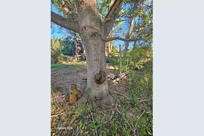 15830 Shady Creek Road, Tyler, TX 75705 - Photo 17