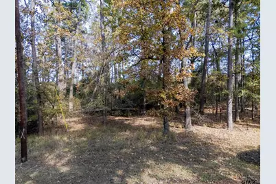 Tbd Rolling Ridge, Holly Lake Ranch, TX 75765 - Photo 5