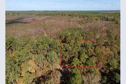 Tbd Rolling Ridge, Holly Lake Ranch, TX 75765 - Photo 1