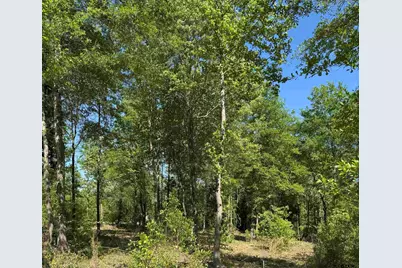 24337 Fm 838, Overton, TX 75684 - Photo 5