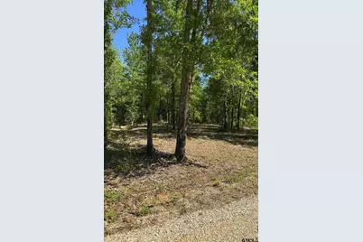24337 Fm 838, Overton, TX 75684 - Photo 1