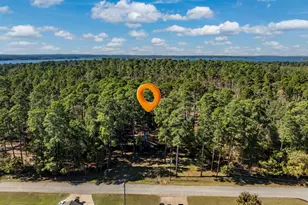 17151 Pintail Dr, Flint, TX 75762 - Photo 17