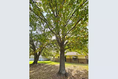 5779 N Cape Dr, Chandler, TX 75758 - Photo 23