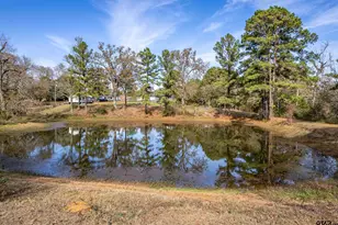 197 Cr 2304, Rusk, TX 75785 - Photo 13