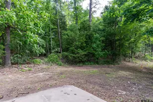 497 Co Rd 3420, Hawkins, TX 75765 - Photo 29