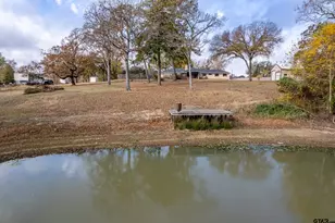 2906 Vz Cr 4923, Ben Wheeler, TX 75754 - Photo 39