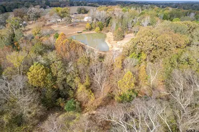 2906 Vz Cr 4923, Ben Wheeler, TX 75754 - Photo 43