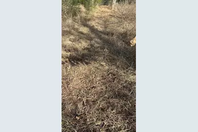 22288 County Road 422, Lindale, TX 75771 - Photo 31