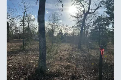 22288 County Road 422, Lindale, TX 75771 - Photo 25