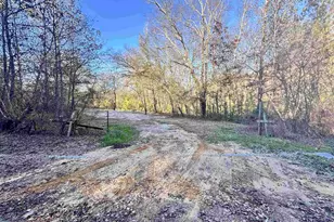 0 Cr 4302, LaRue, TX 75770 - Photo 1