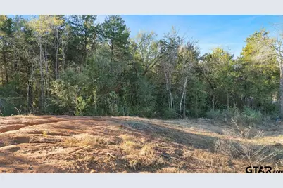 1141 Rollingwood Dr, Bullard, TX 75757 - Photo 7