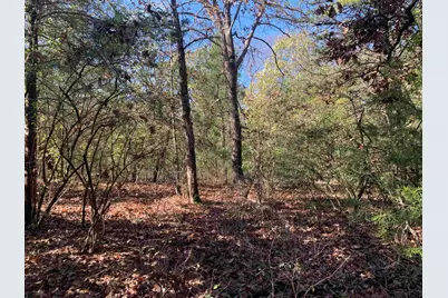 905 Cayuga Drive, Athens, TX 75751 - Photo 5