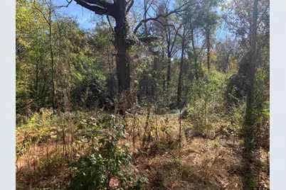 905 Cayuga Drive, Athens, TX 75751 - Photo 9