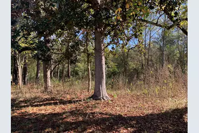 905 Cayuga Drive, Athens, TX 75751 - Photo 7