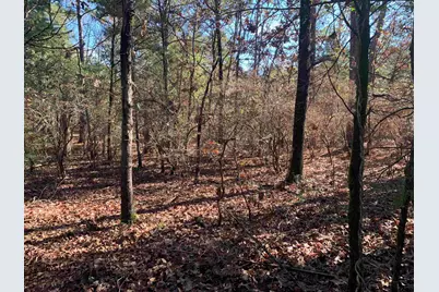 905 Cayuga Drive, Athens, TX 75751 - Photo 11