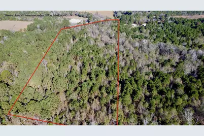 Tbd Fm 130, Hughes Springs, TX 75656 - Photo 7
