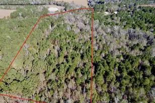 Tbd Fm 130, Hughes Springs, TX 75656 - Photo 7