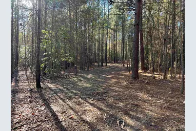 Tbd Fm 130, Hughes Springs, TX 75656 - Photo 9