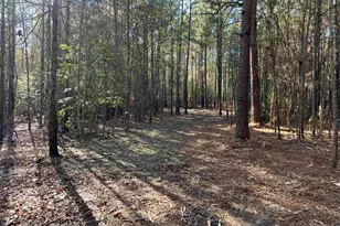 Tbd Fm 130, Hughes Springs, TX 75656 - Photo 9