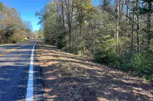 Tbd Fm 130, Hughes Springs, TX 75656 - Photo 11