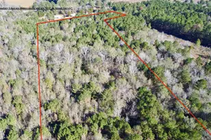 Tbd Cr 2921, Hughes Springs, TX 75656 - Photo 9