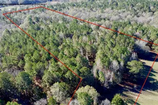 Tbd Cr 2921, Hughes Springs, TX 75656 - Photo 5