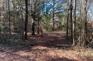 Tbd Cr 2921, Hughes Springs, TX 75656 - Photo 11