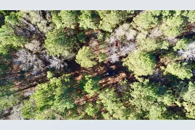 Tbd Cr 2921, Hughes Springs, TX 75656 - Photo 3