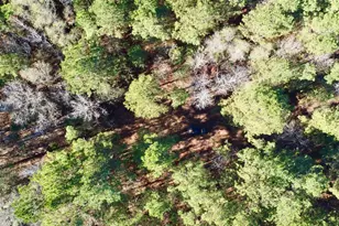 Tbd Cr 2921, Hughes Springs, TX 75656 - Photo 3